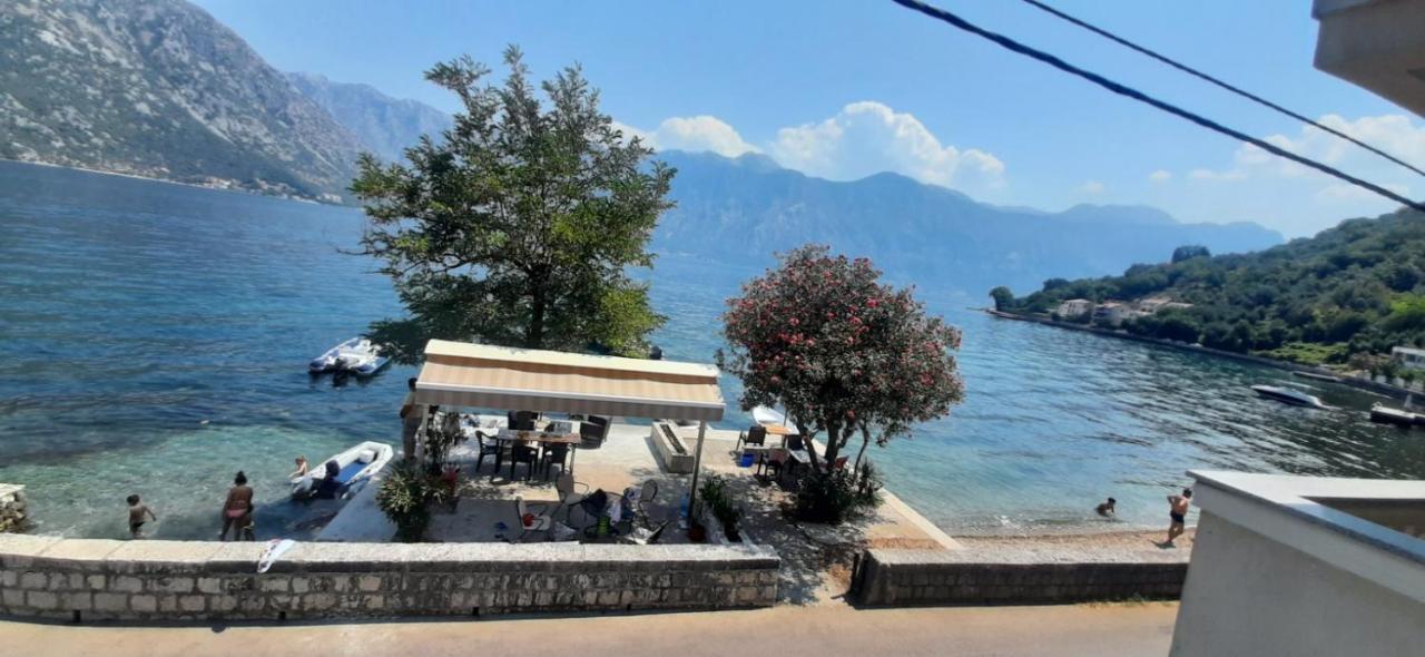 Apartmants Alexander Apartment Kotor Bagian luar foto