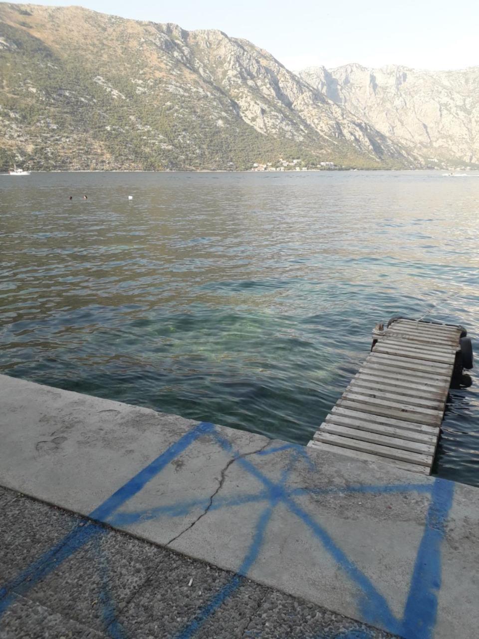 Apartmants Alexander Apartment Kotor Bagian luar foto