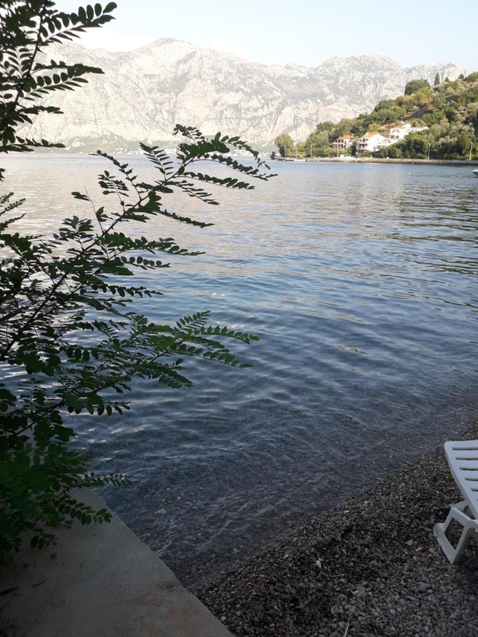 Apartmants Alexander Apartment Kotor Bagian luar foto