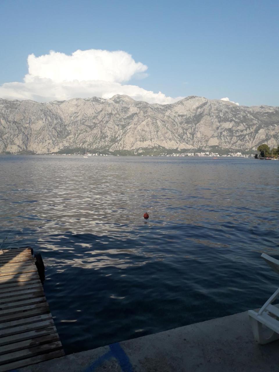 Apartmants Alexander Apartment Kotor Bagian luar foto