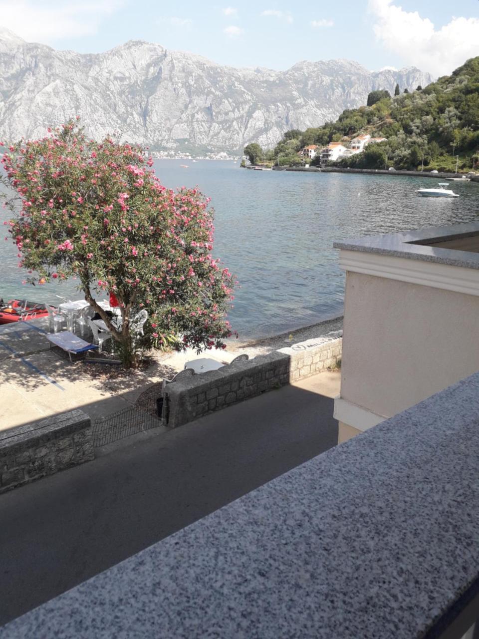 Apartmants Alexander Apartment Kotor Bagian luar foto